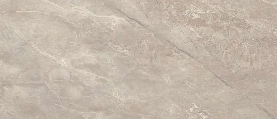 Décor Limestone