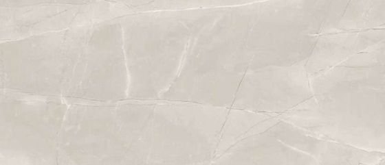 Décor Marbre gris Caspien