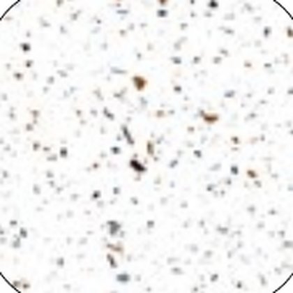 Finition Terrazzo
