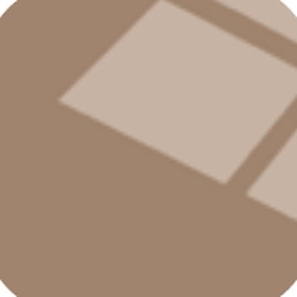 Finition Fumée bronze